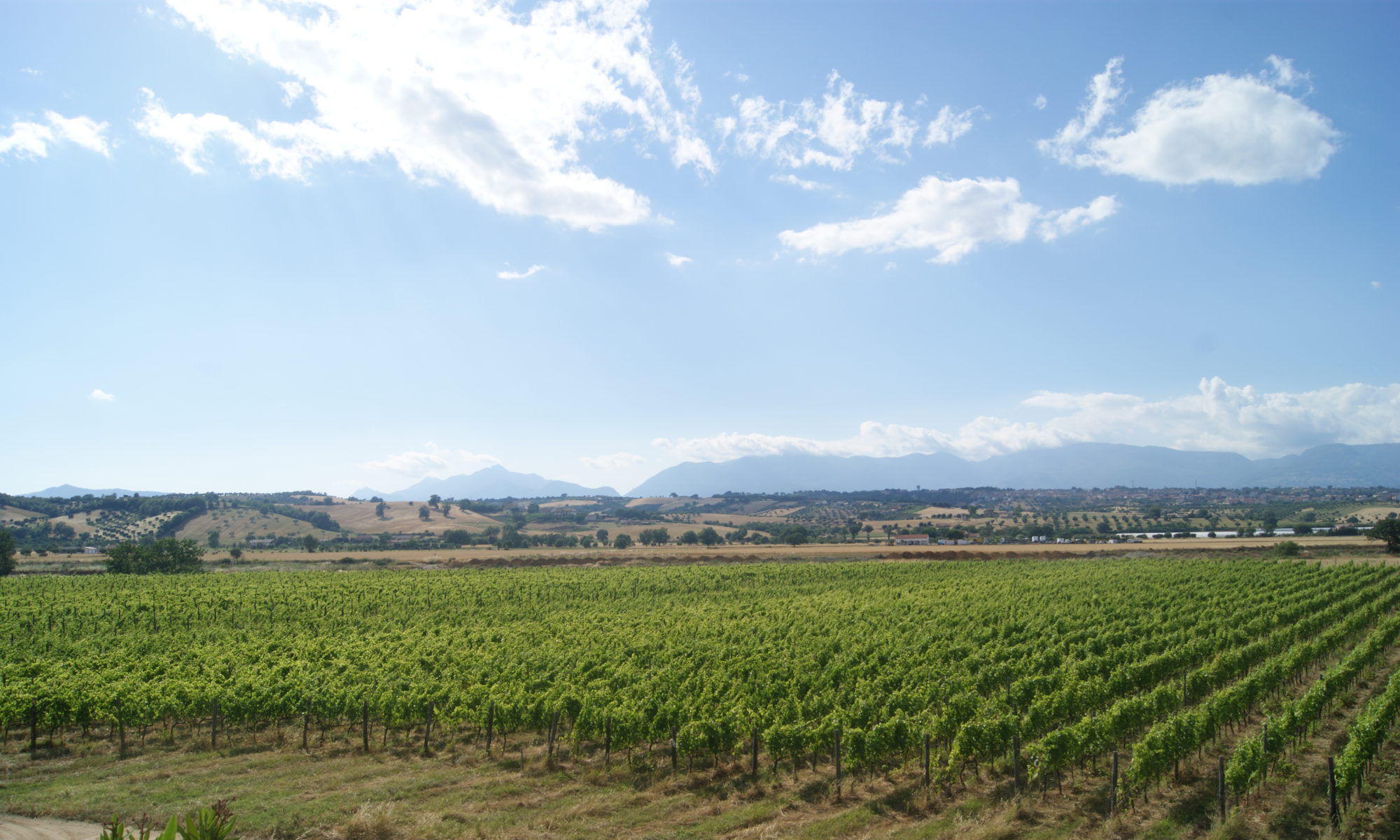 Azienda agrituristica di Mazzei Luigi Giuseppe